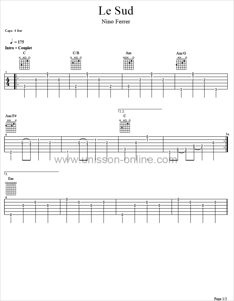 tablature guitare le sud